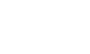 BigLive Trends | Big Ideas, Bold Trend