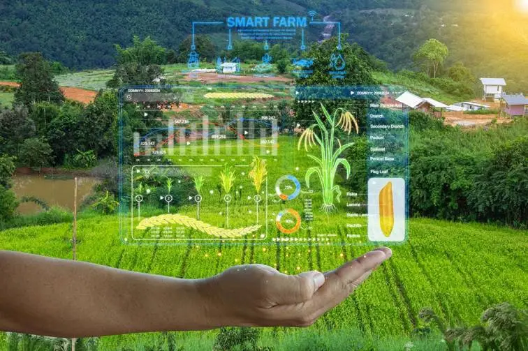 Best Smart Sensors for Farming 2025: Top 10 for Higher Crop Yield