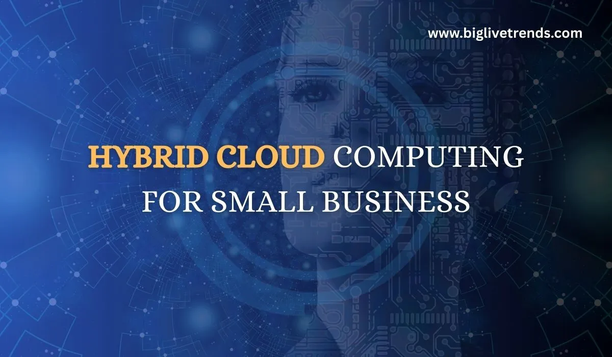 Hybrid Cloud Computing for Small Business​