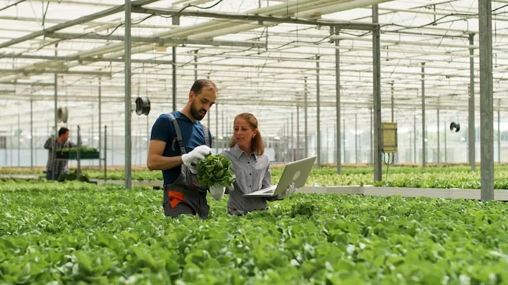 What Makes an Agritech Business Work in the U.S.
