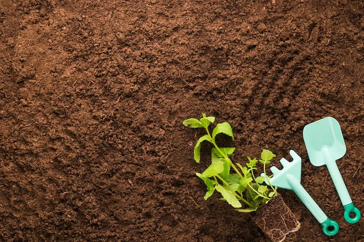 Making the Soil Healthier for Years to Come