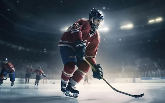 The Main Groups in Charge of Hockey Rules